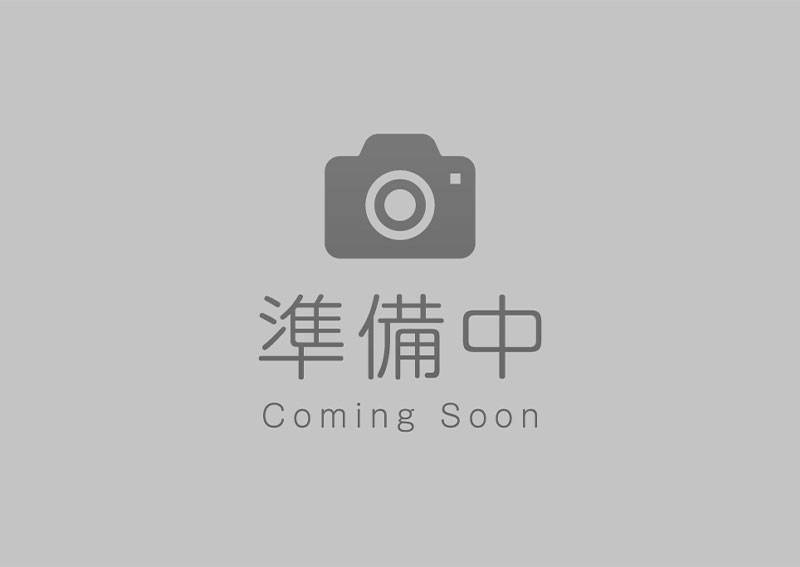エアフロー（EMS）を用いた高水準のクリーニング